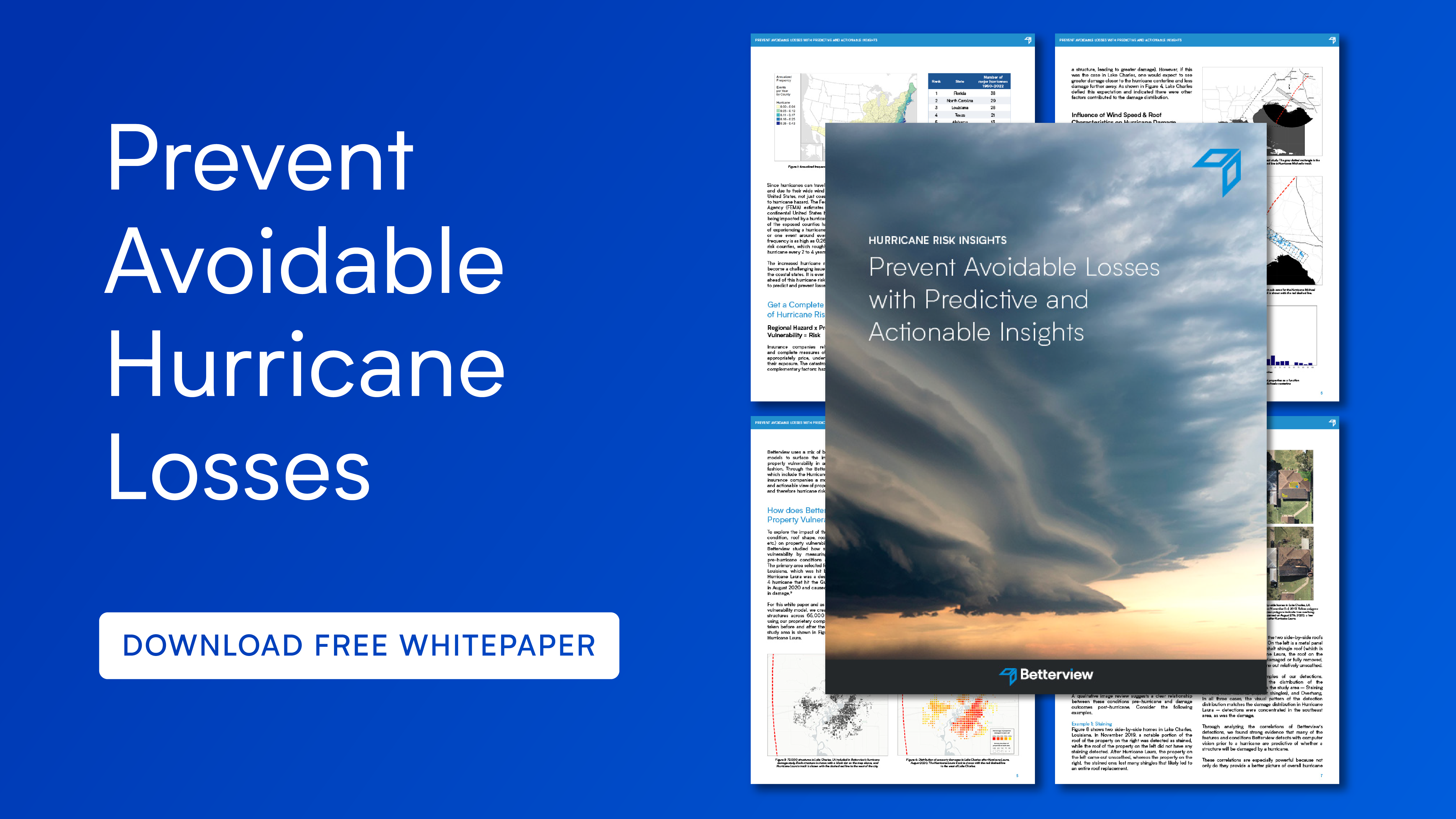 Download Betterview Hurricane White Paper